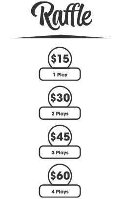 Example of Raffle purchase screen