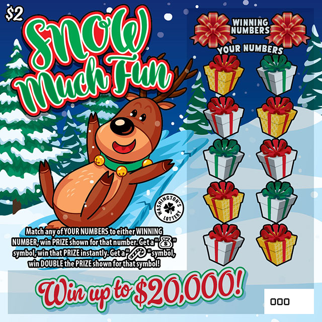 SNOW MUCH FUN scratcher ticket